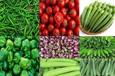 Picture for category Vegetable Seeds